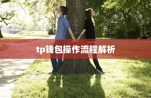 tp钱包操作流程解析