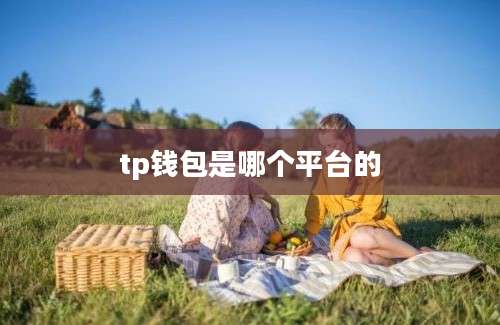 tp钱包是哪个平台的