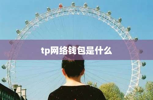 tp网络钱包是什么