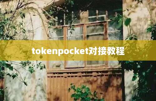 tokenpocket对接教程