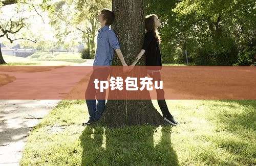 tp钱包充u