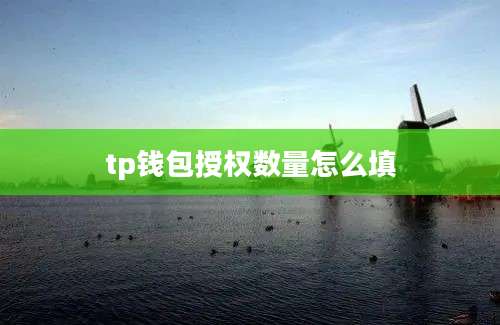 tp钱包授权数量怎么填