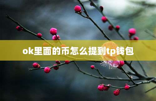 ok里面的币怎么提到tp钱包