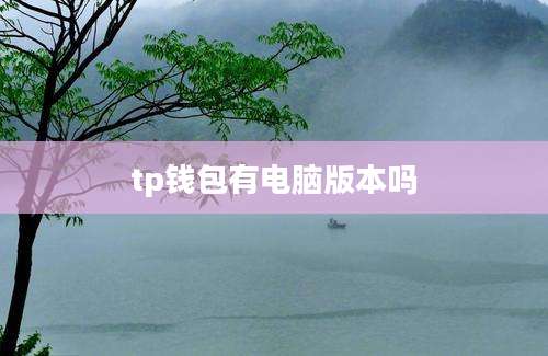 tp钱包有电脑版本吗