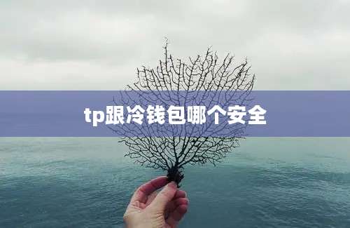 tp跟冷钱包哪个安全