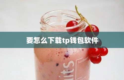 要怎么下载tp钱包软件