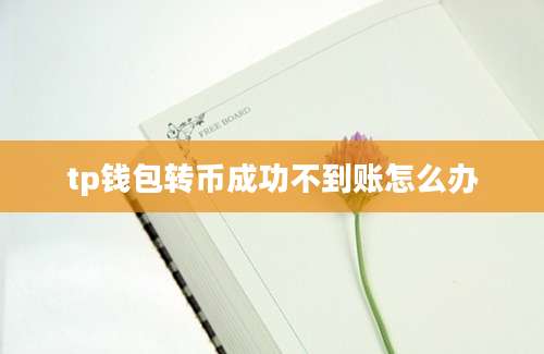tp钱包转币成功不到账怎么办
