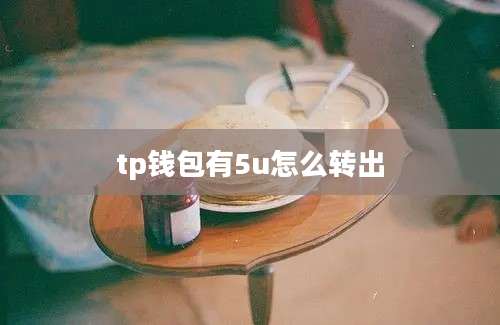 tp钱包有5u怎么转出