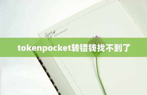 tokenpocket转错钱找不到了