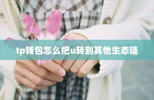 tp钱包怎么把u转到其他生态链