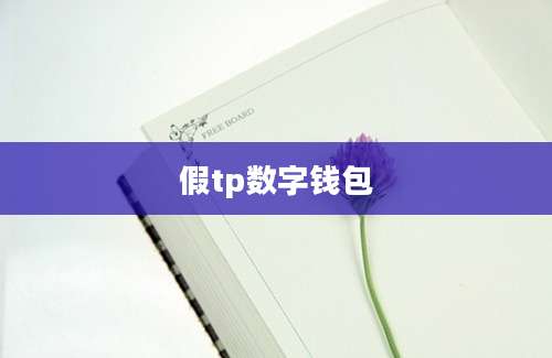 假tp数字钱包