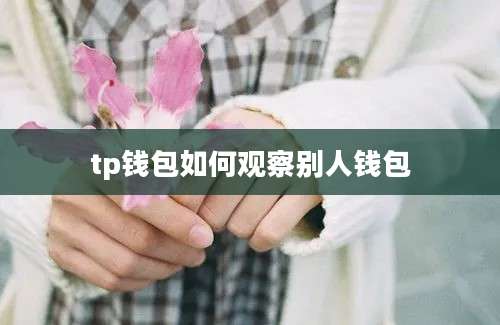 tp钱包如何观察别人钱包