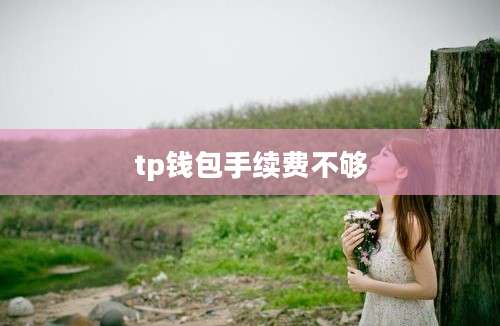 tp钱包手续费不够