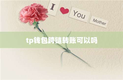 tp钱包跨链转账可以吗