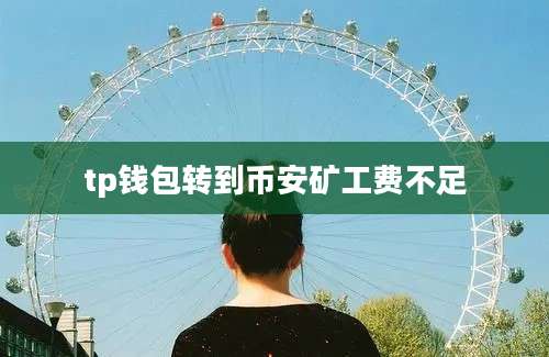 tp钱包转到币安矿工费不足