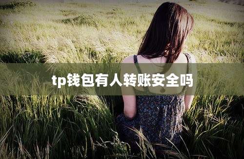 tp钱包有人转账安全吗