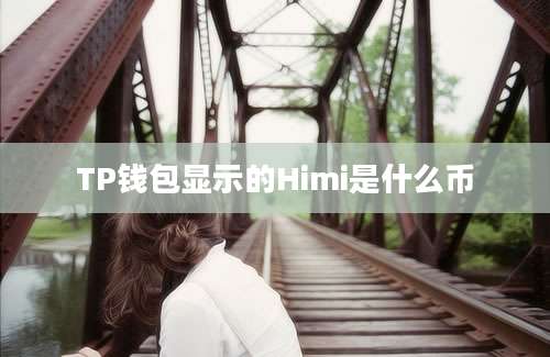 TP钱包显示的Himi是什么币