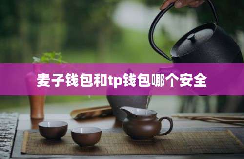 麦子钱包和tp钱包哪个安全