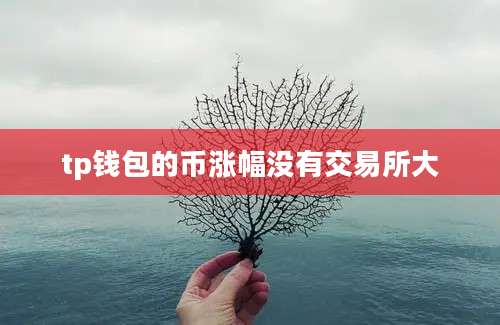tp钱包的币涨幅没有交易所大
