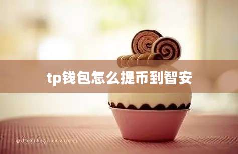 tp钱包怎么提币到智安