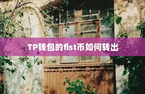 TP钱包的fist币如何转出
