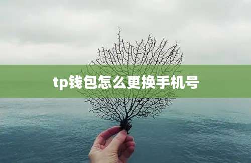 tp钱包怎么更换手机号