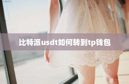 比特派usdt如何转到tp钱包