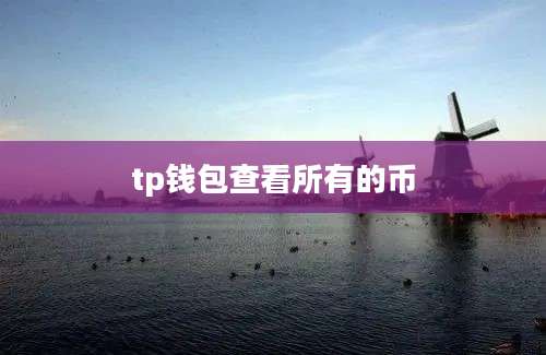 tp钱包查看所有的币