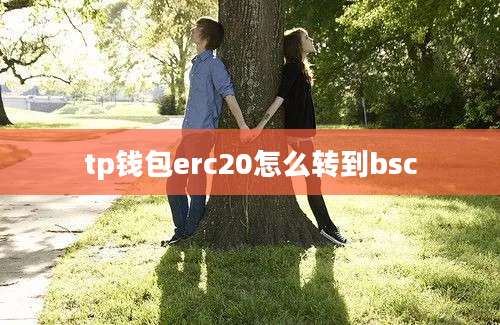 tp钱包erc20怎么转到bsc