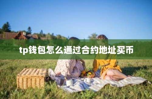 tp钱包怎么通过合约地址买币