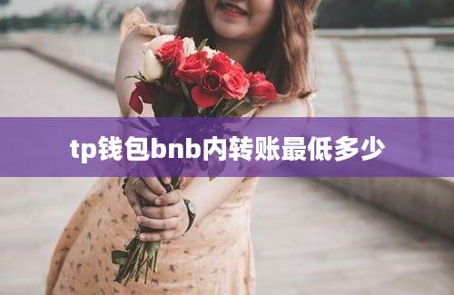 tp钱包bnb内转账最低多少