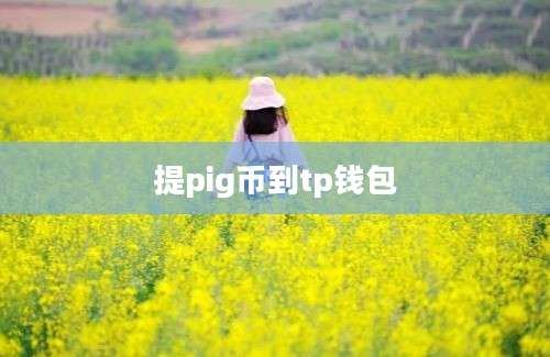 提pig币到tp钱包