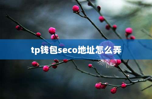 tp钱包seco地址怎么弄
