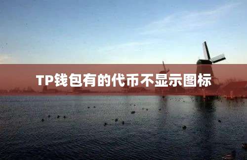 TP钱包有的代币不显示图标
