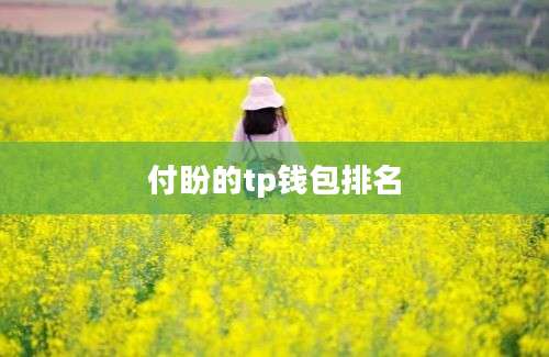 付盼的tp钱包排名
