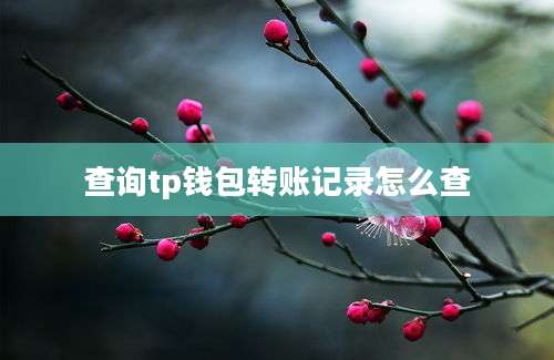 查询tp钱包转账记录怎么查