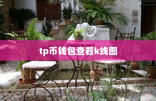 tp币钱包查看k线图