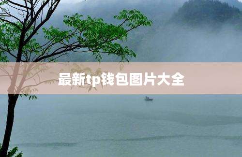 最新tp钱包图片大全