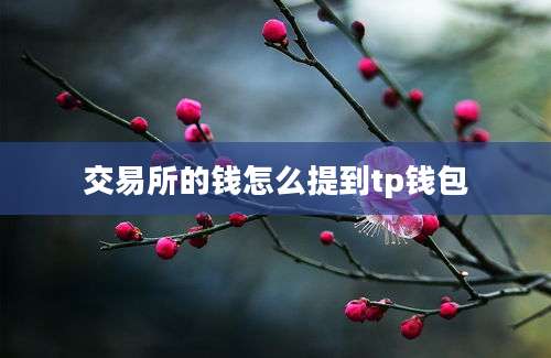 交易所的钱怎么提到tp钱包