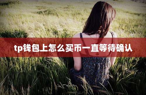 tp钱包上怎么买币一直等待确认