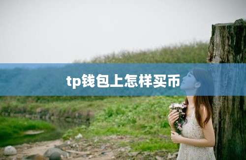 tp钱包上怎样买币