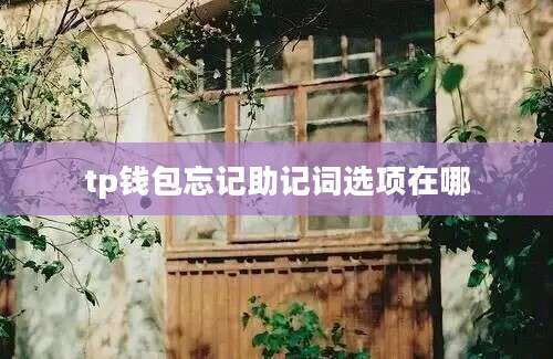 tp钱包忘记助记词选项在哪