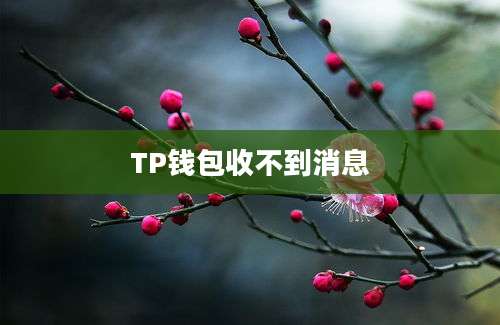 TP钱包收不到消息