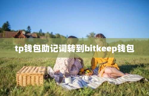 tp钱包助记词转到bitkeep钱包