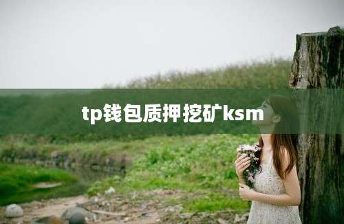 tp钱包质押挖矿ksm
