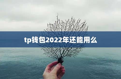 tp钱包2022年还能用么