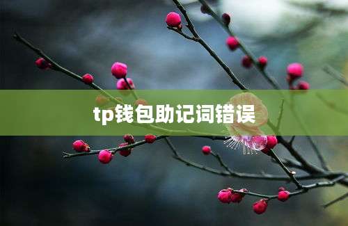 tp钱包助记词错误