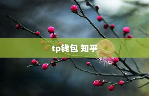 tp钱包 知乎