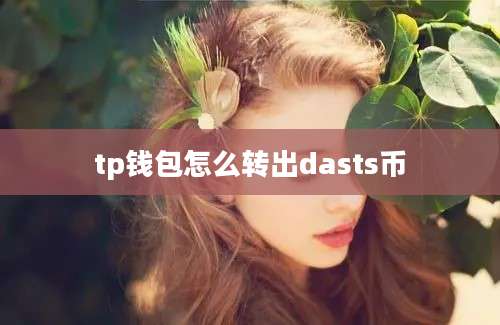 tp钱包怎么转出dasts币