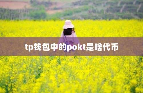 tp钱包中的pokt是啥代币